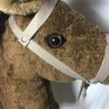 Steckenpferd – Bild 8
